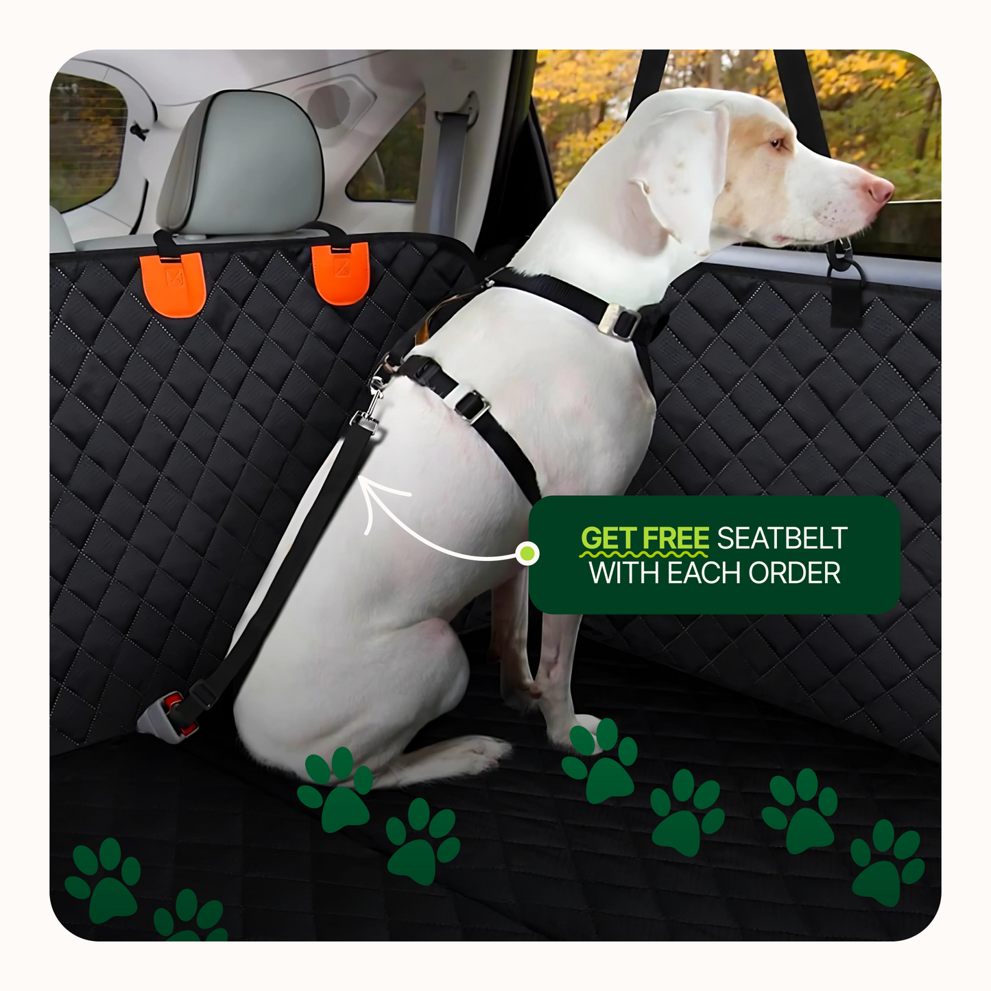 Hard bottom seat cover